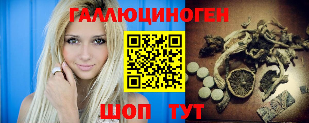Саяногорск  Галлюциногенные грибы MAGIC MUSHROOMS  Вход с VPN 